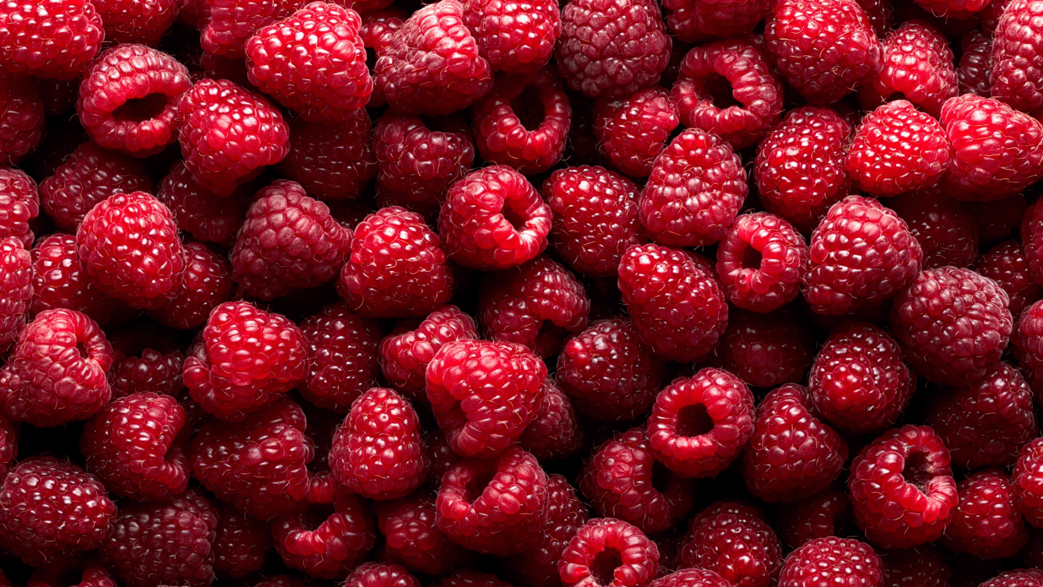 6 Reasons to Include Raspberry Seed Oil in Your Skin Care Products - pure•yeva
