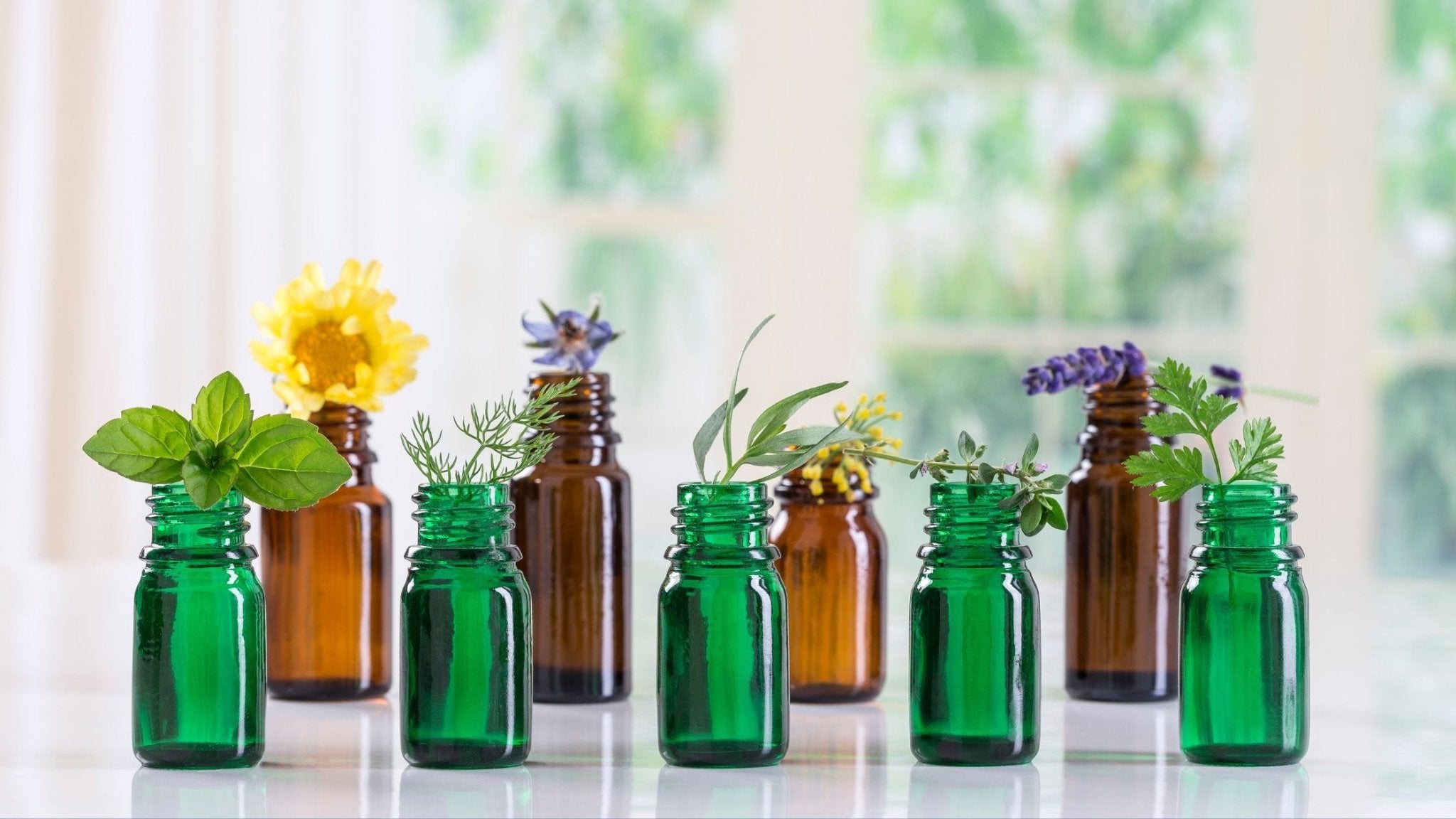 The Top 5 Essential Oils for Menopause - How They Help - pure•yeva