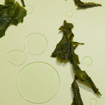 Nutrient Seaweed Wash - pure•yeva -Facial Cleansers