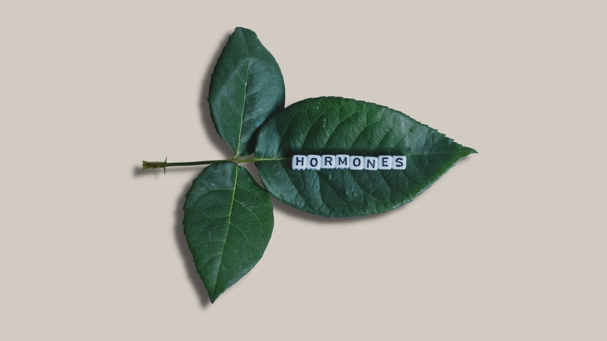 Five Ways to Reach the Perfect Hormonal Balance, Naturally - pure•yeva